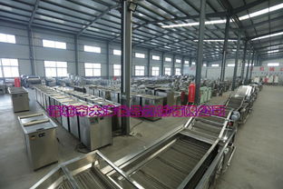 新一代雞翅與雞脯肉上糠設(shè)備的維護(hù)與常見(jiàn)計(jì)算機(jī)故障排除