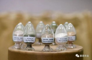 慕恩生物菌肥 領航綠色農業，共創財富未來——全國空白市場特許經銷商火熱招募